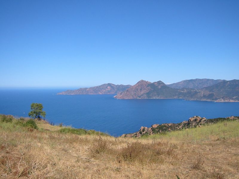 IMG_7487.jpg