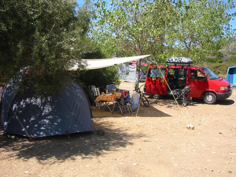IMG_7517.jpg