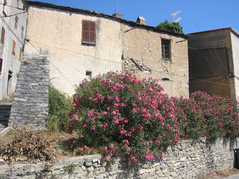 IMG_7690.jpg