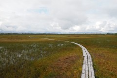 P8133213