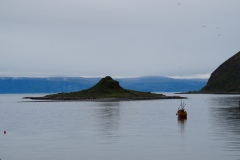 P8153427