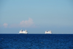 P8294452